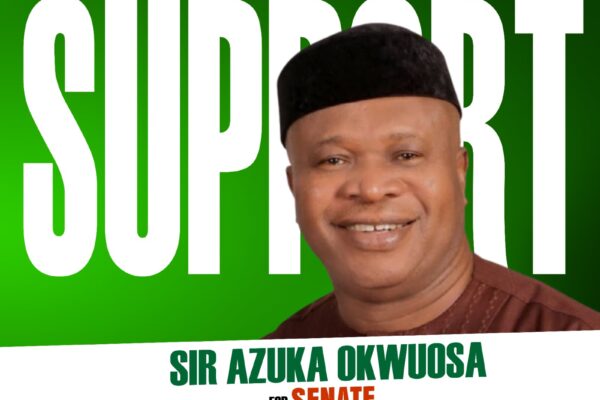2025 ANAMBRA SOUTH SENATORIAL BY-ELECTION: Taking Anambra South to the next level of EFFECTIVE, EFFICIENT and INCLUSIVE representation