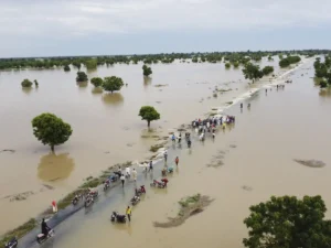 Nigerian newspapers review: Heavy floods to hit 198 LGs in 31 states, FG warns