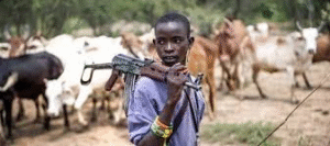 Suspected armed herders invade Imo village, kill vigilante leader, others missing