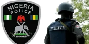 Police arrest suspected IPOB member in Anambra