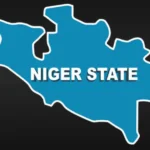 Diphtheria disease claims 10 lives in Niger state