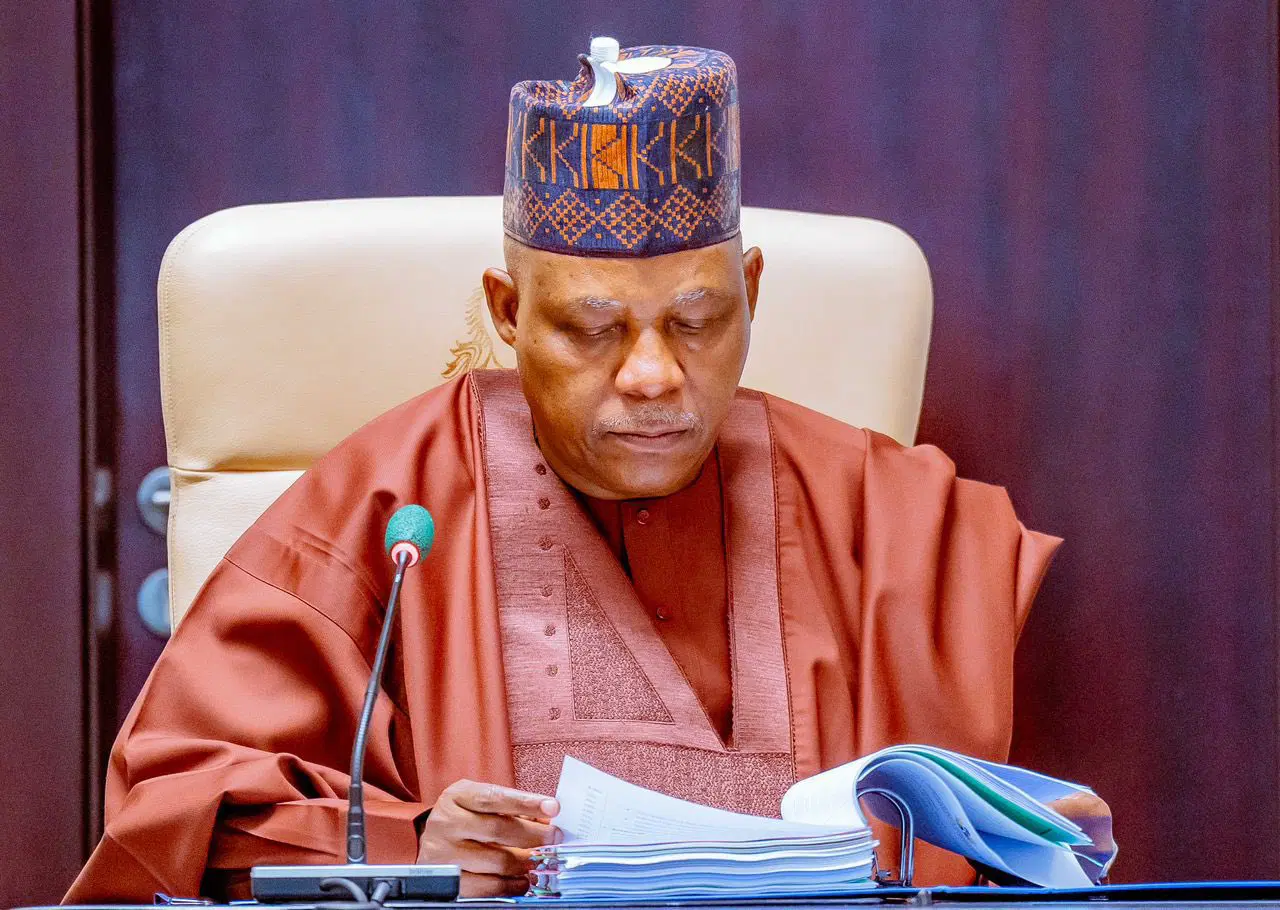 Tinubu remains committed to economic diversification – Shettima