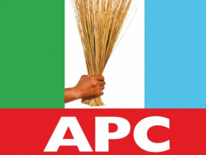 FCT Poll: APC Leads In Early Nyanya Results