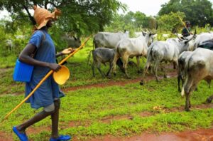 Herdsmen Invade Benue Community, Abduct Scores Of Market Women